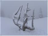 Kranjski Rak - Kapela Marije Snežne (Velika planina)